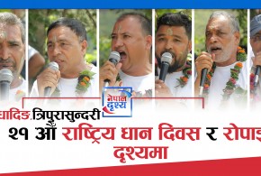 धादिङ-२१ औँ राष्ट्रिय धान दिवस र रोपाइँ दिवस : कसले के भने ?